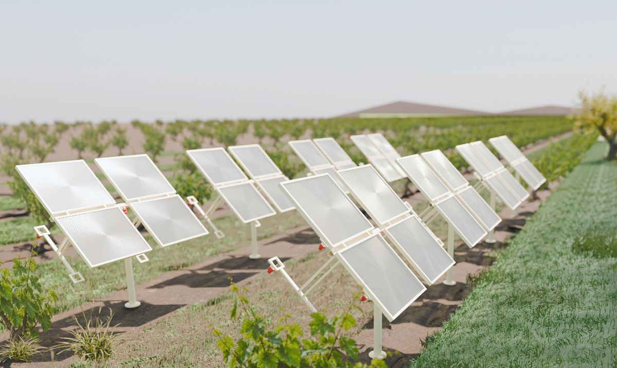 Rows of Solstice solar collectors in a field